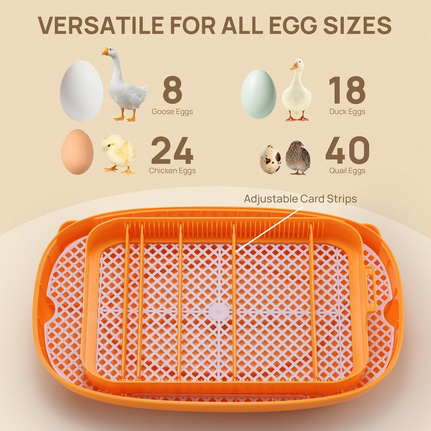 TURBRO 24 Egg Incubator with Automatic Egg Turning, Incubator for Hatching Eggs
