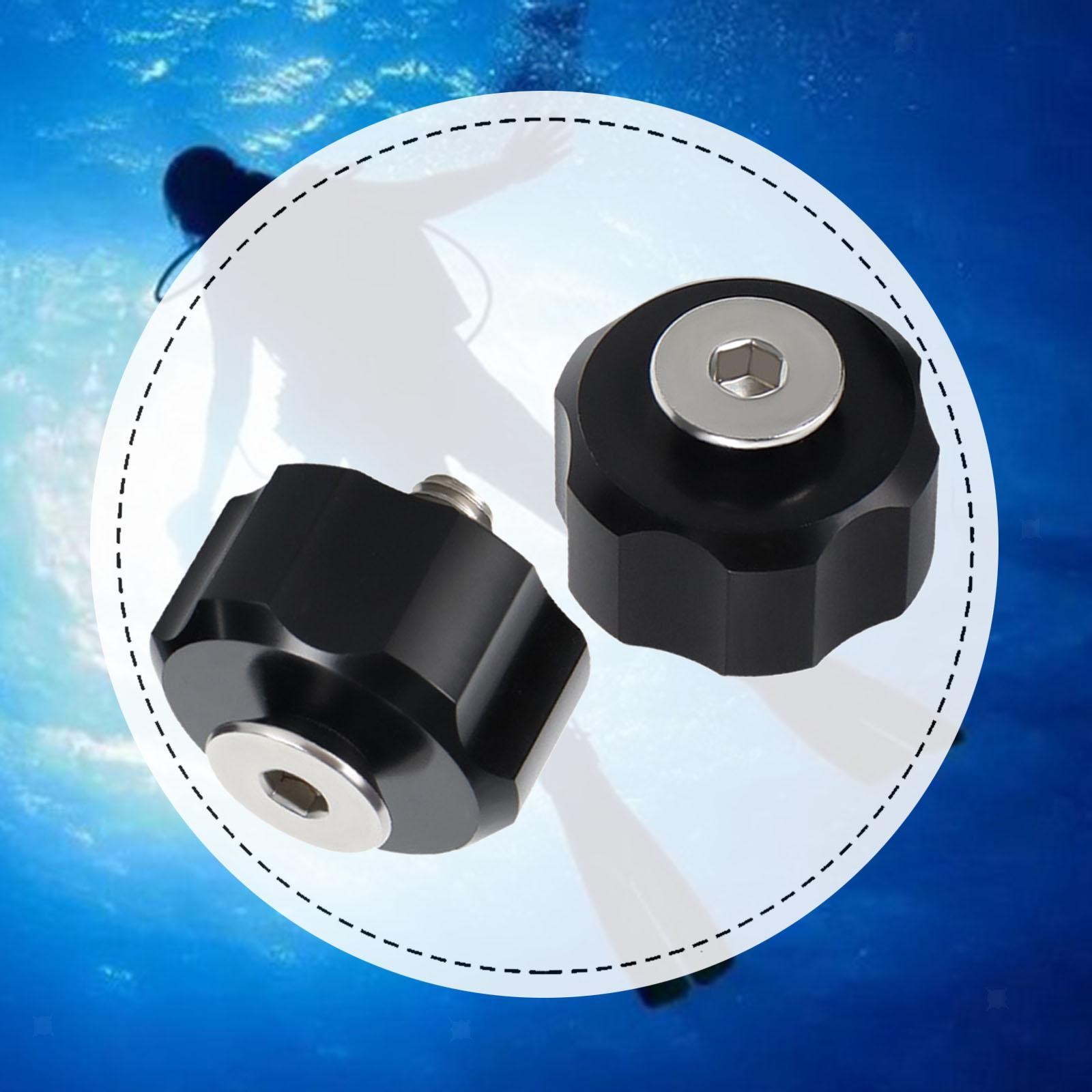 1 Pair Backplate Screws and Nuts Replacement M8 Fasteners Black Nut SS316