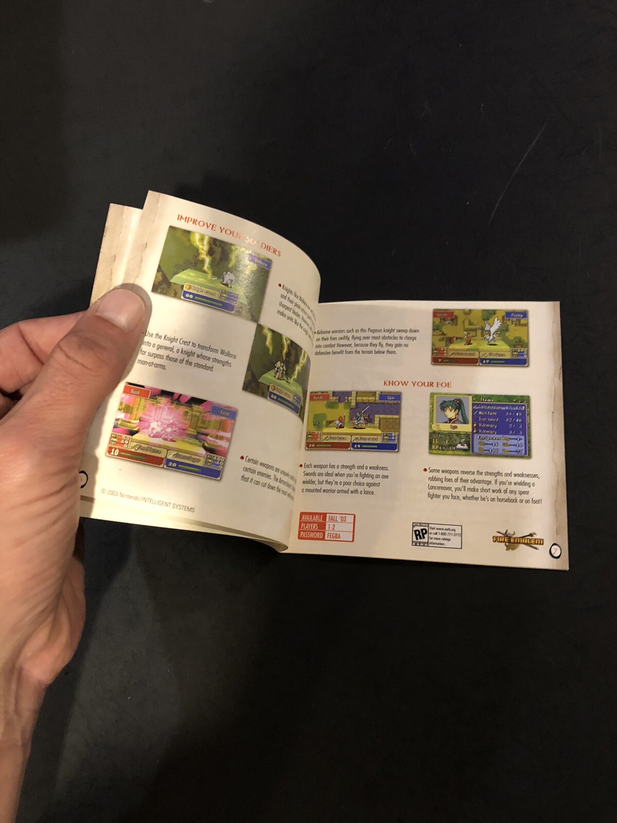 Nintendo gameboy advance journey is the beginning Insert