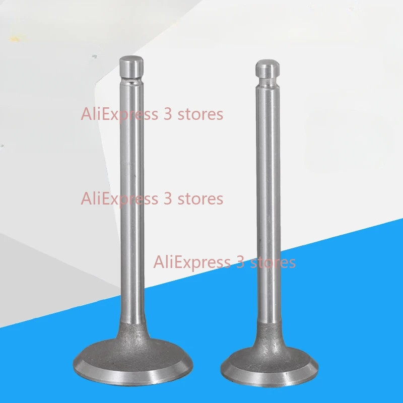 Diesel Engine Generator Accessories Intake and Exhaust Valve