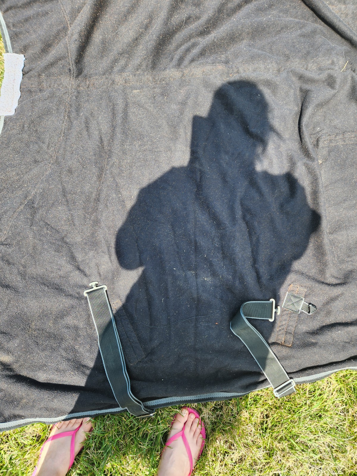 2 - 72" Horse Fleece Coolers/Blankets
