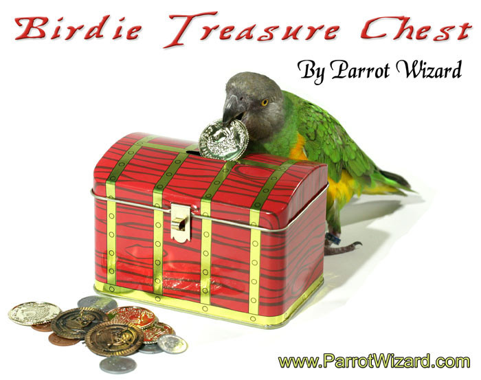Birdie Treasure Chest - Parrot Fetch Training Prop With Plastic Coins Included