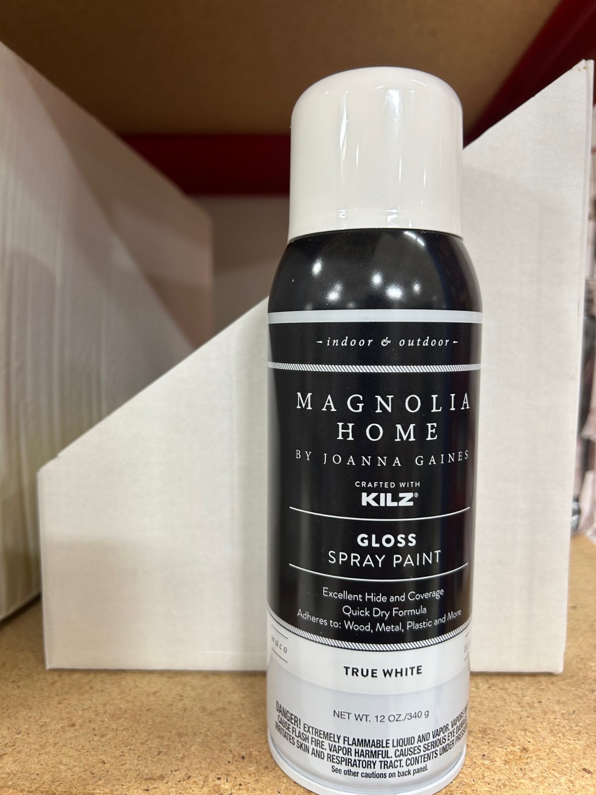 NEW Magnolia Home Enamel Interior/Exterior Spray Paint TRUE WHITE GLOSS FREE S&H