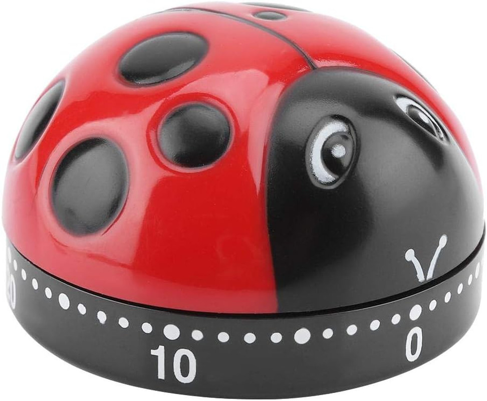 Cute Shape Kitchen Timer 60 Minutes Timer with Loud Ring Mechanical Wind-Up Time
