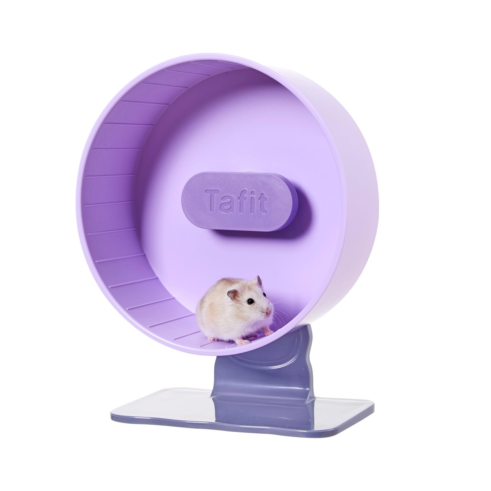 Tafit Silent Hamster Wheel 8.7 Inch Dual-Bearings Small 8.7inch, Taro Purple