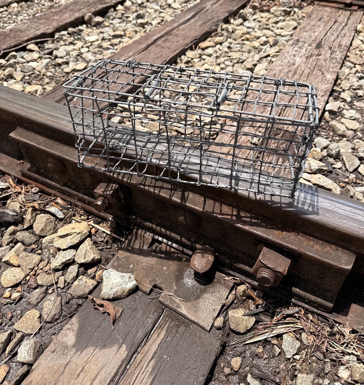 small rectangular wire baskerbasket with attached lid and clasp graden or home