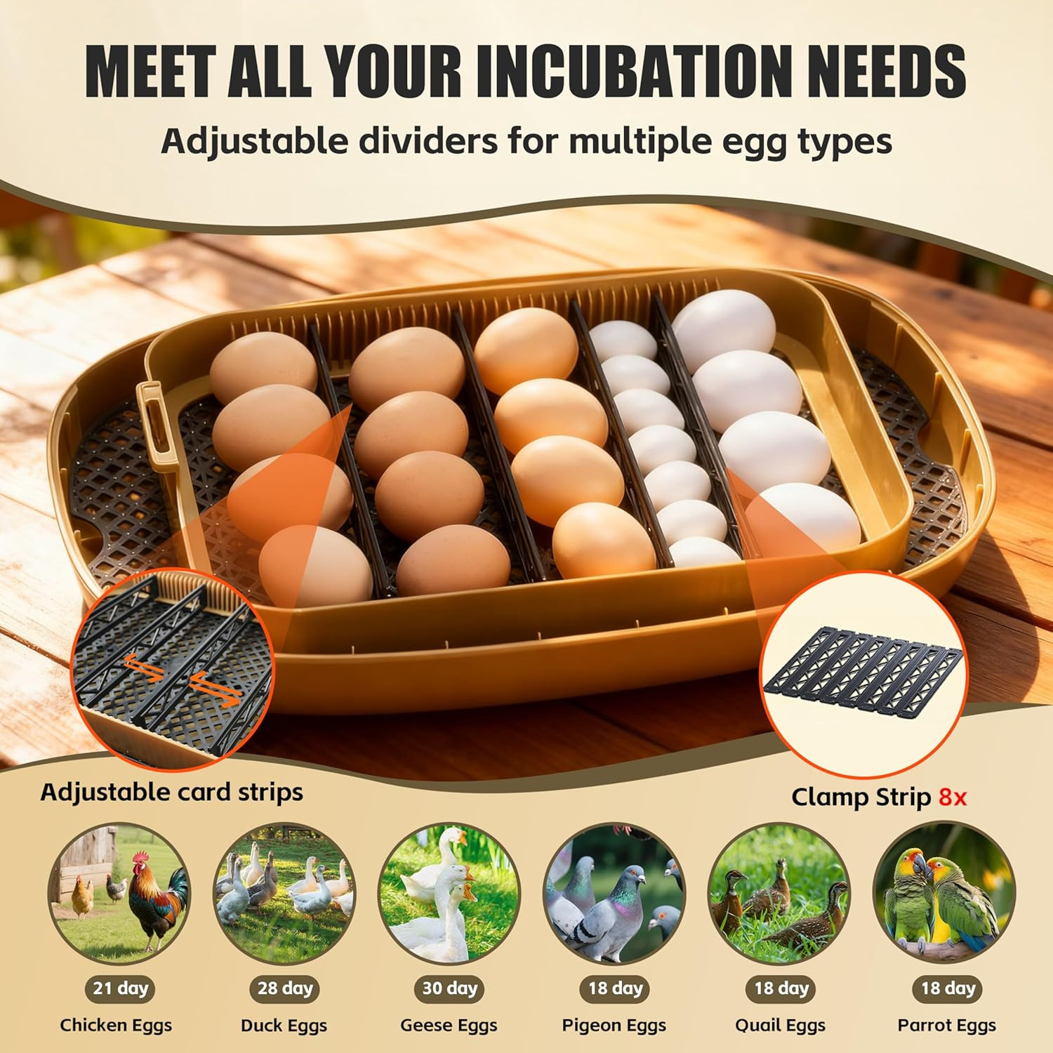 Incubators for Hatching Eggs, 24 Egg Incubator with Automatic Egg Turning and Hu