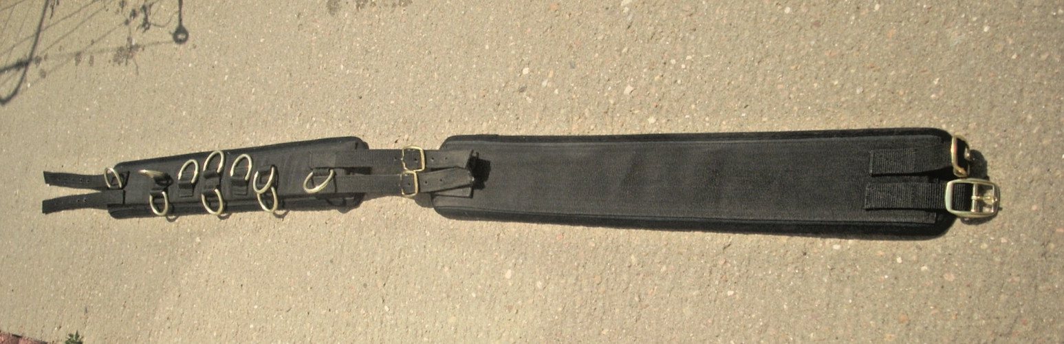 10-Ring Neoprene Lined Nylon Surcingle for Training/Lunging/Ground DrivingHorses