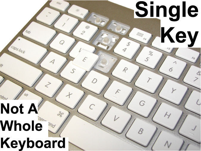A1243 Apple Wired Keyboard Replacement Single Key with Hinge OEM (Type H or F)