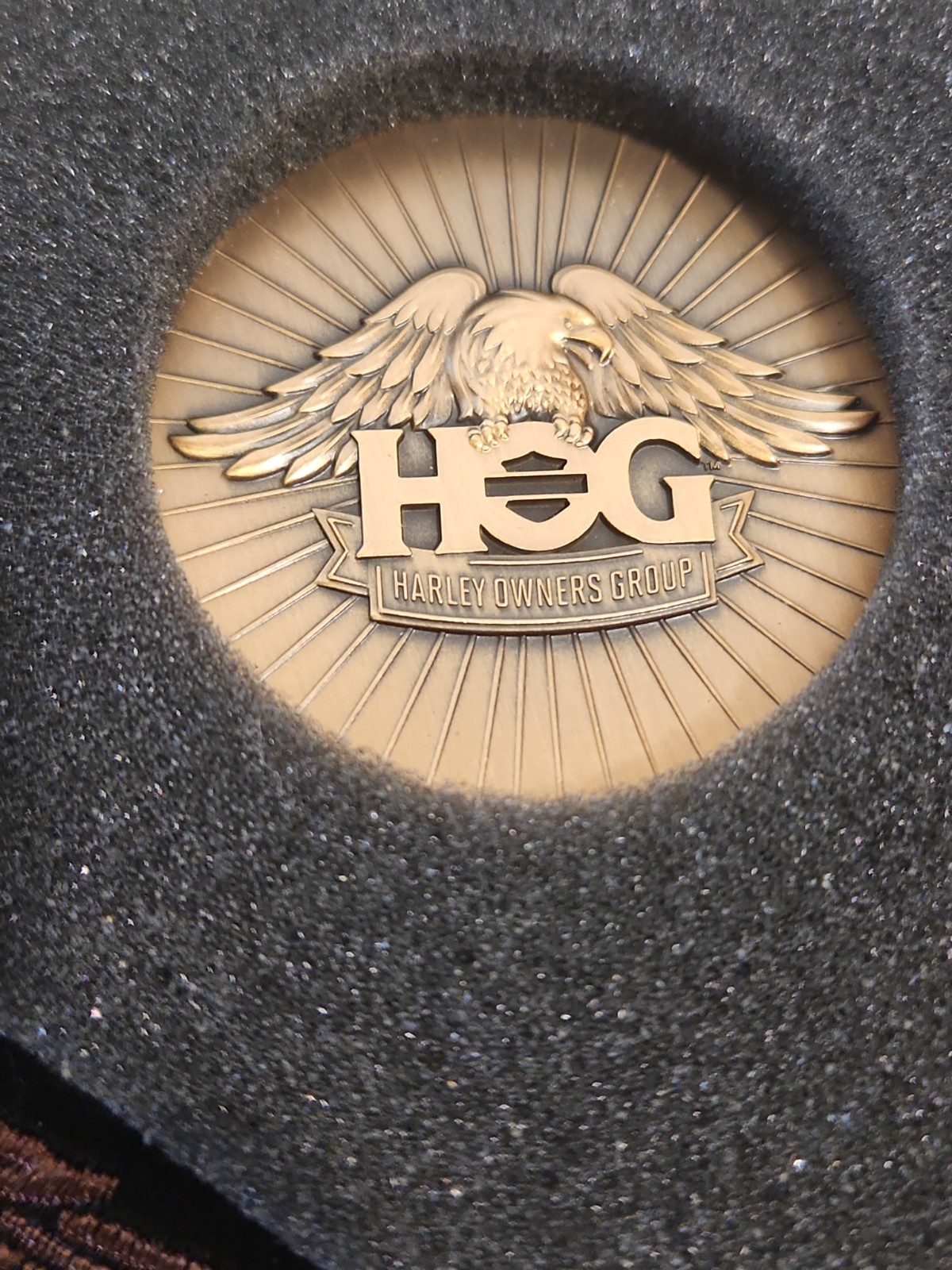 Harley-Davidson HOG Tin (Harley Owners Group) Includes Patch • Pin • Medallion