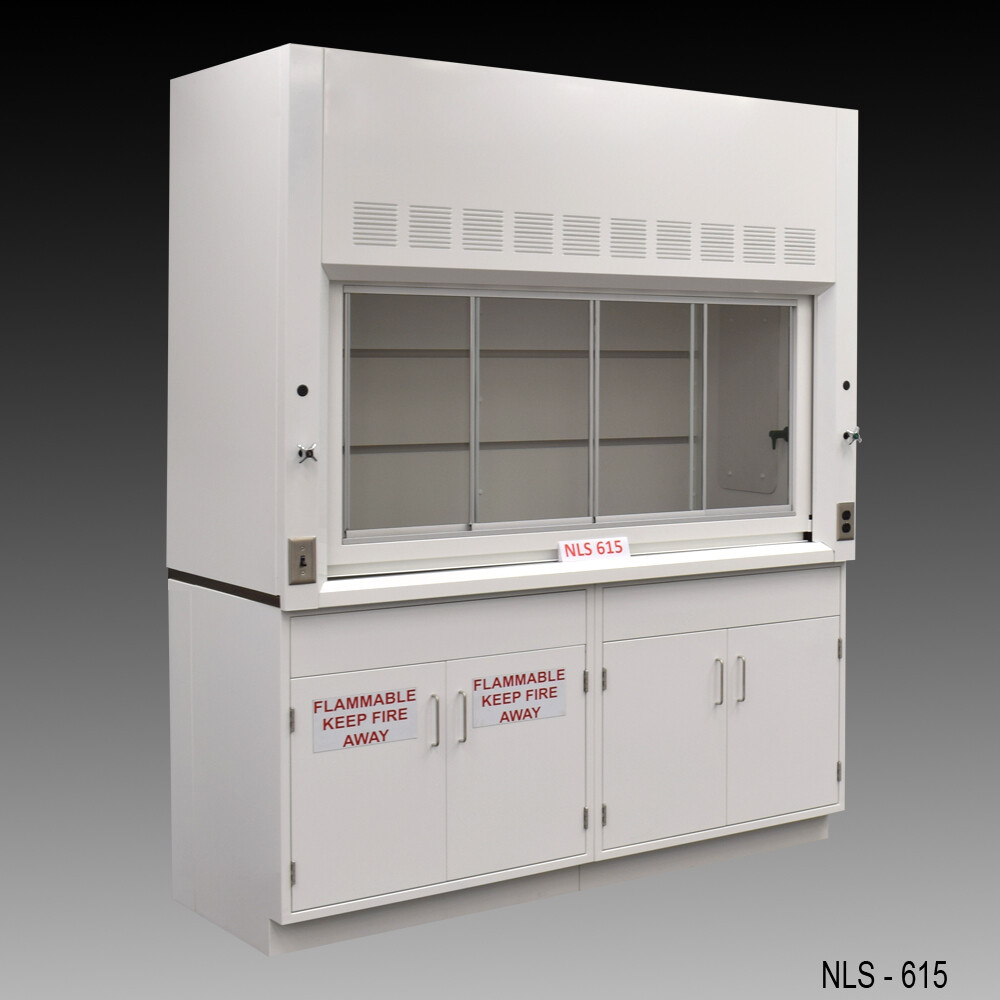 Laboratory 6 ft Fume Hood w/ Flammable & General Storage / E1-207