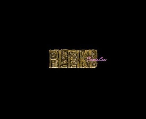 VN PLEIKU  + a custom promo pin