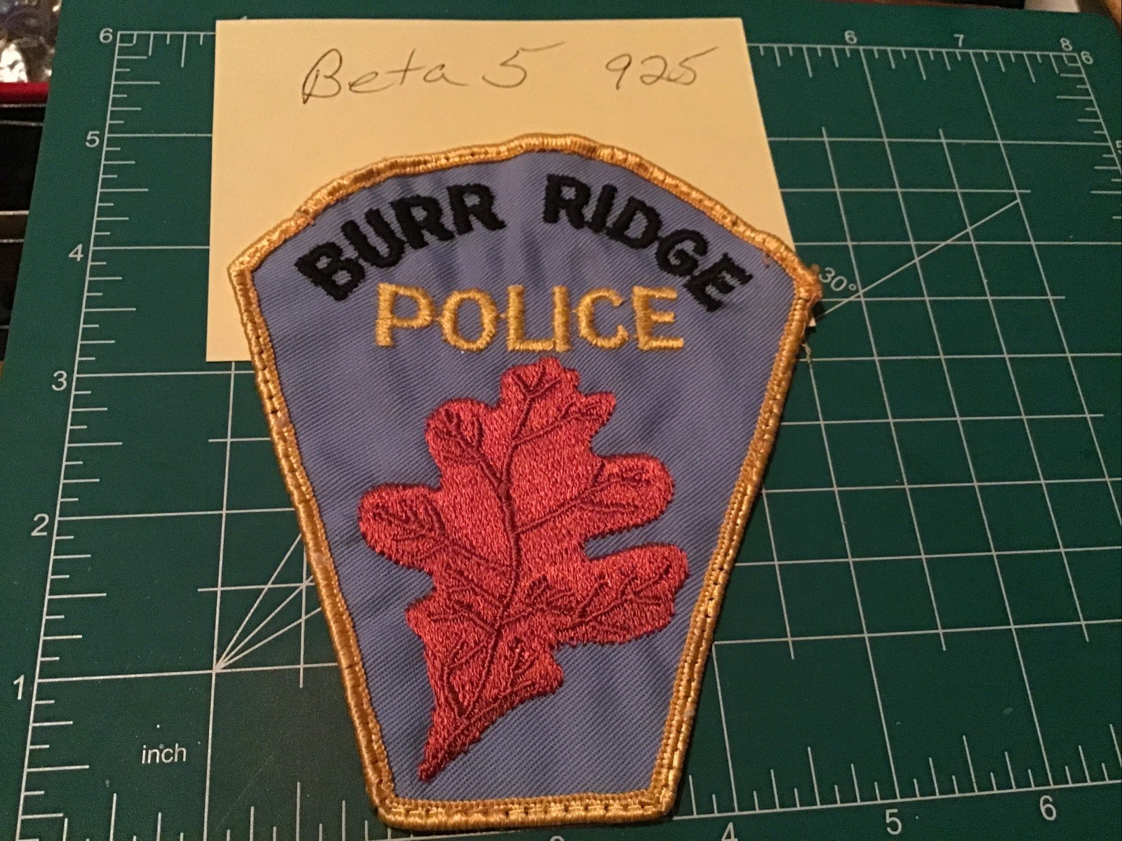 Burr Ridge Police Department IL Illinois 5" Shoulder Patch