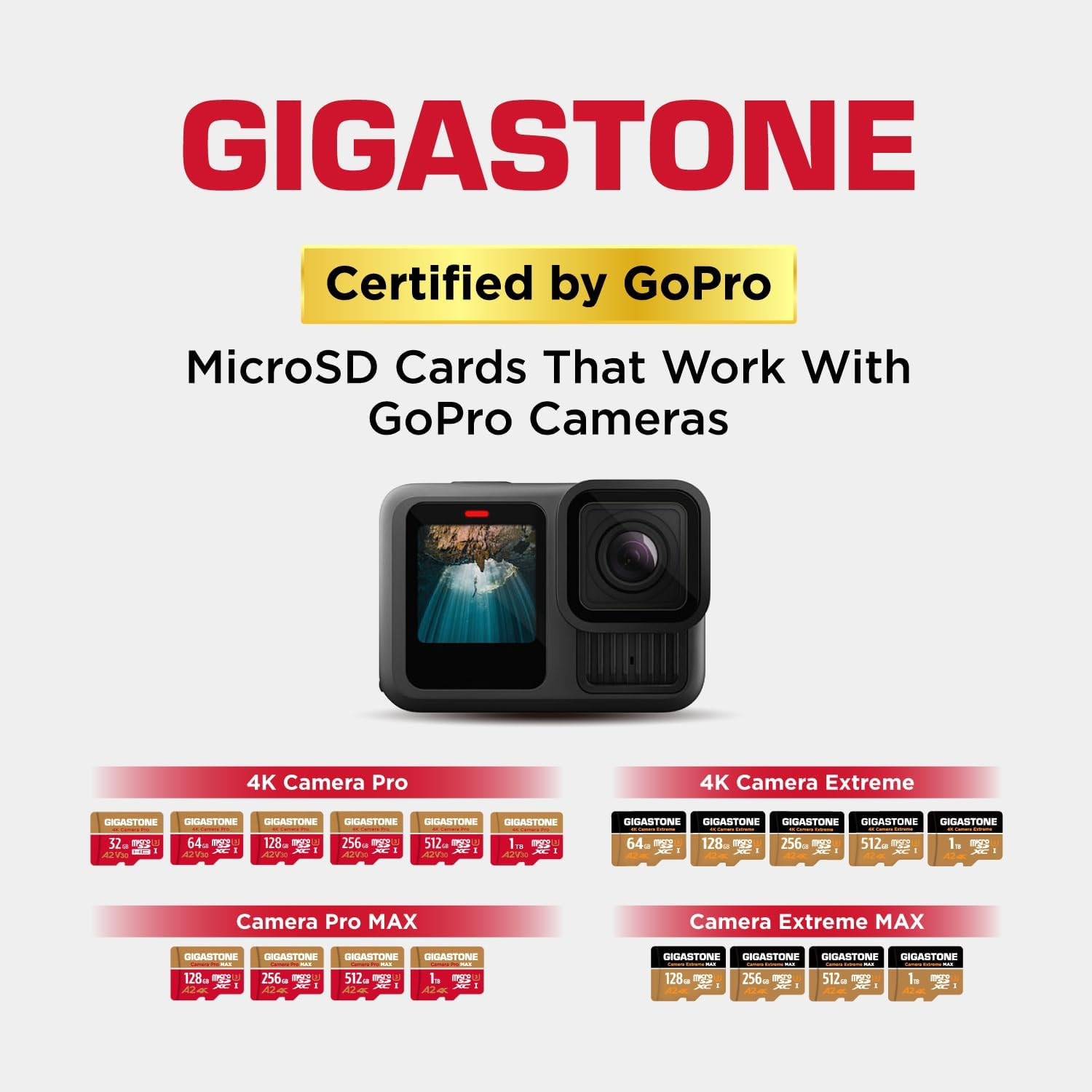 【5-Years Data Recovery】 1TB Micro SD Card with USB 3.2 Type C Card Reader, 4K C