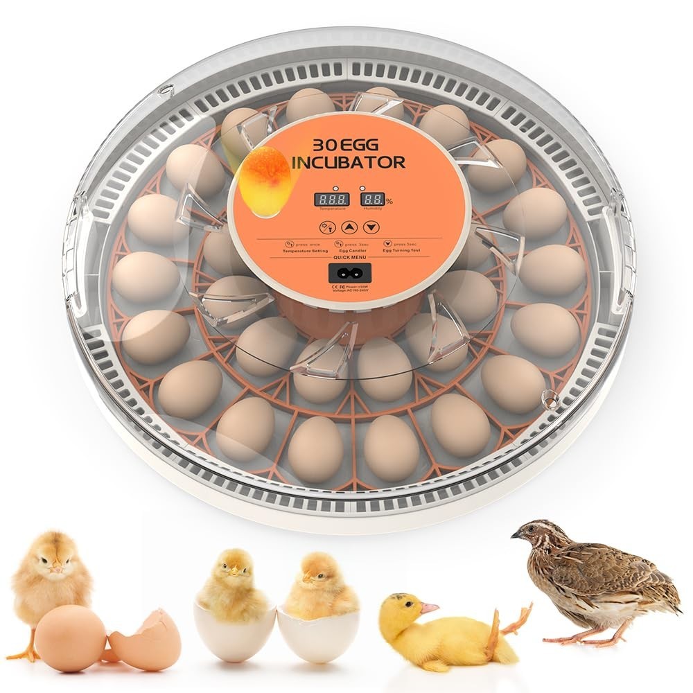 30 Egg Incubator with Automatic Egg Turning, Temperature Humidity Control