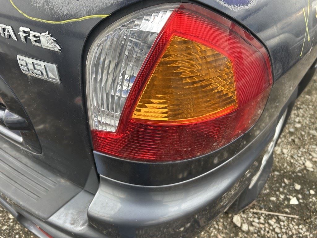 Driver Left Front Spindle/Knuckle With ABS Fits 02-04 SANTA FE 104815536