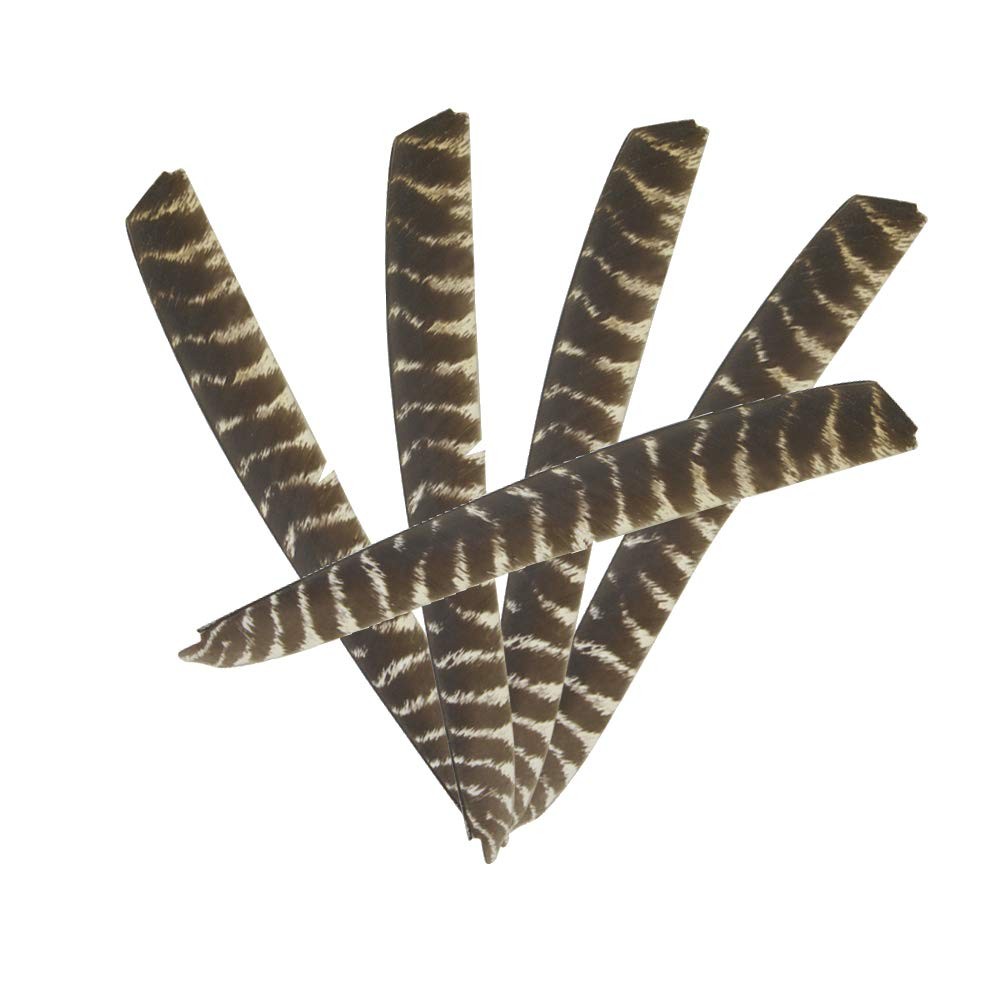 30 Pieces Full Length Turkey Feather Archery Arrow Fletching (7-11 Inch) Spir...