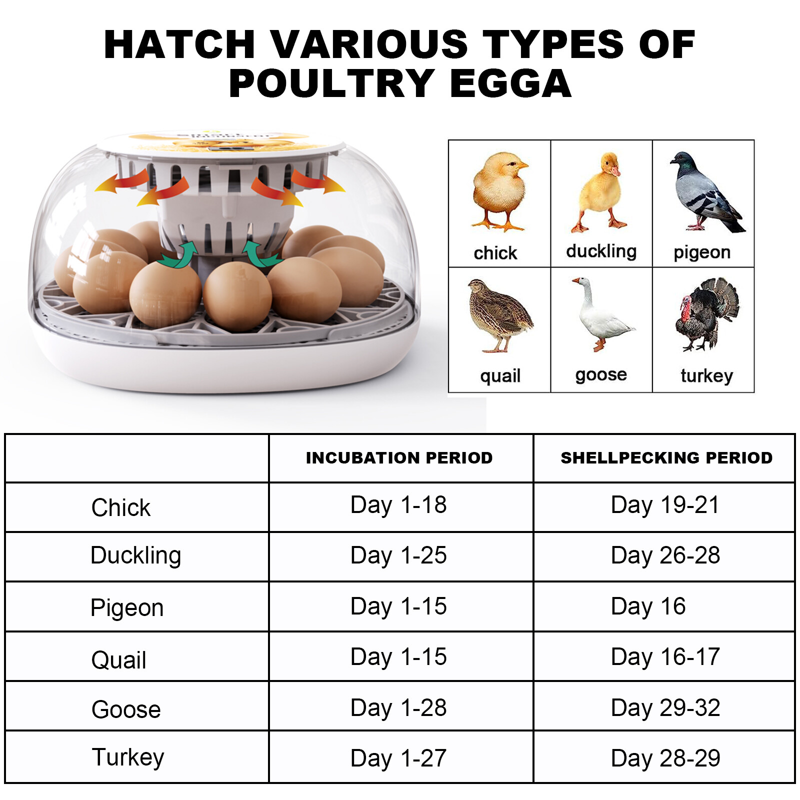 12/16 Egg Incubator Fully Automatic Brooder Flat Incubator with LED Lighting