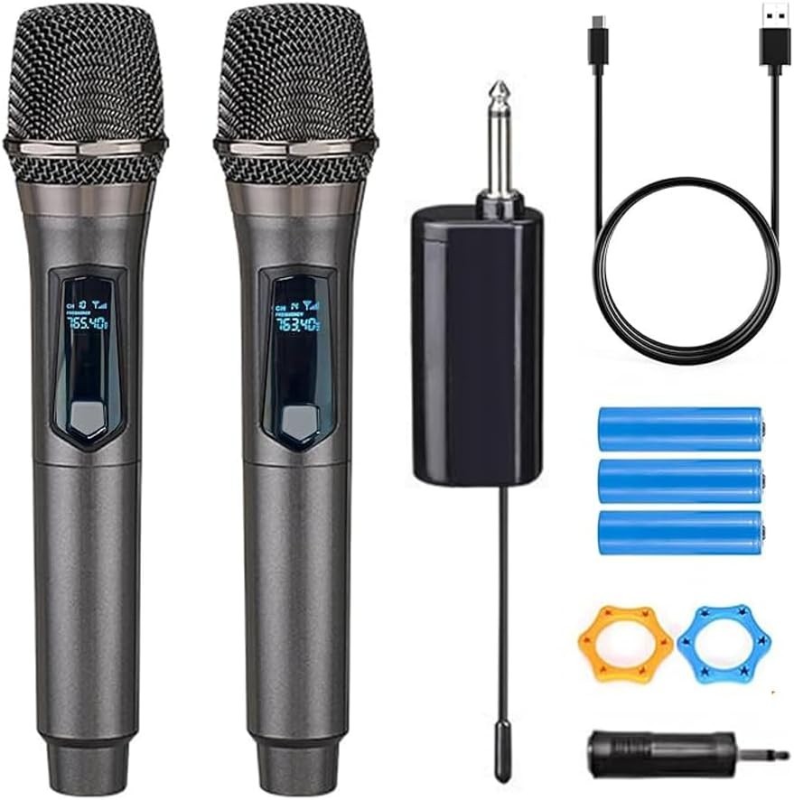 Rechargeable Fixed Frequency Wireless Dual Microphone,Handheld Dynamic Mic