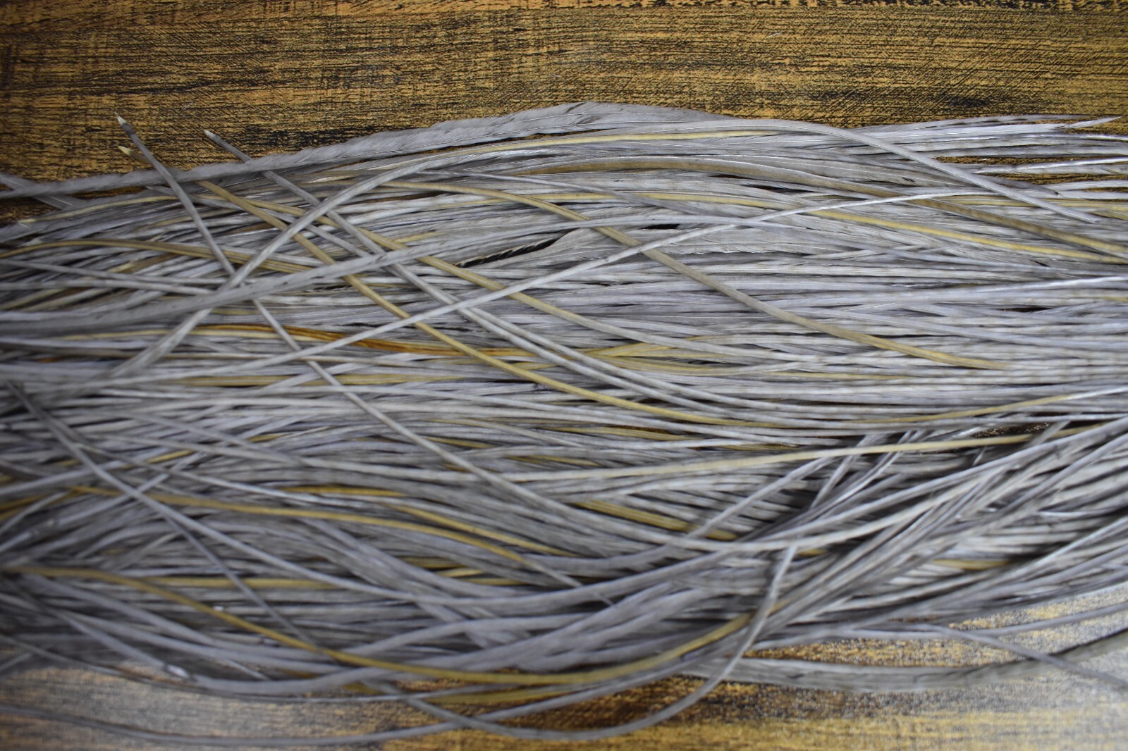 Full or Half Set Sized DYED MEDIUM DUN Dry Fly Rooster Saddle Feathers Tying