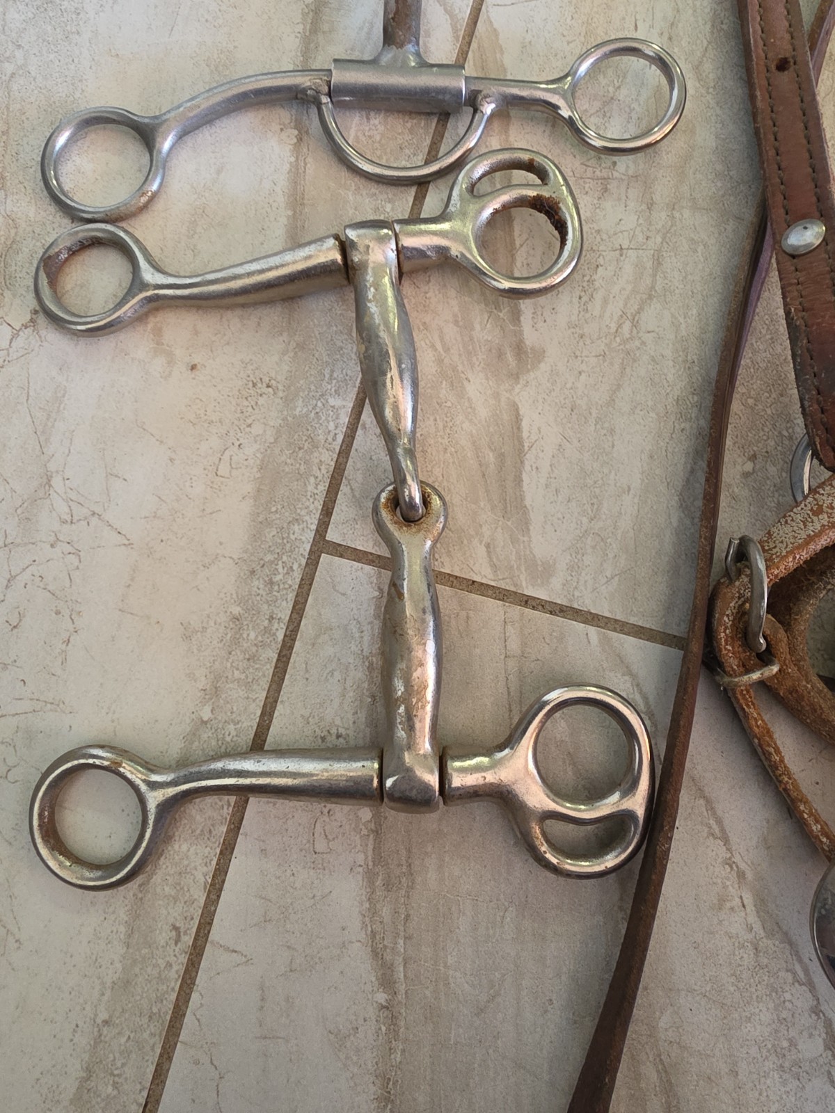 Mike Beers Horse Bit With Leather Straps Plus Extras