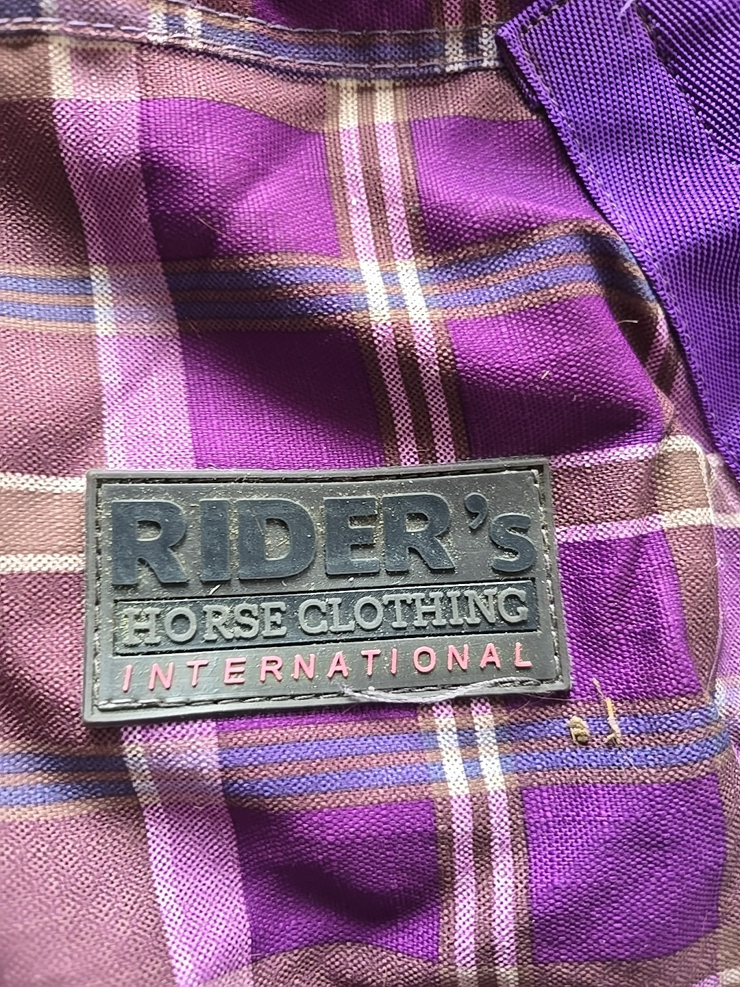 Horse Blanket 63