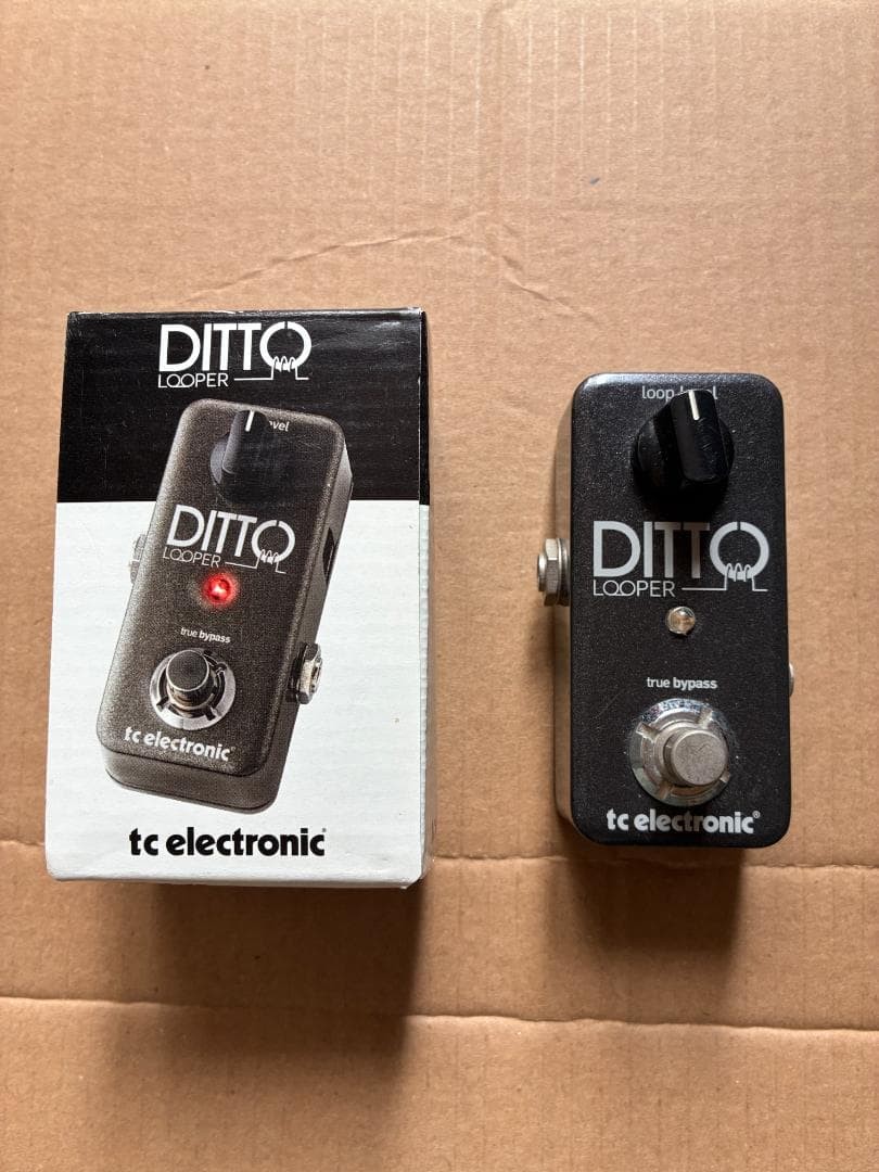 tc electronic DITTO LOOPER Effect Pedal