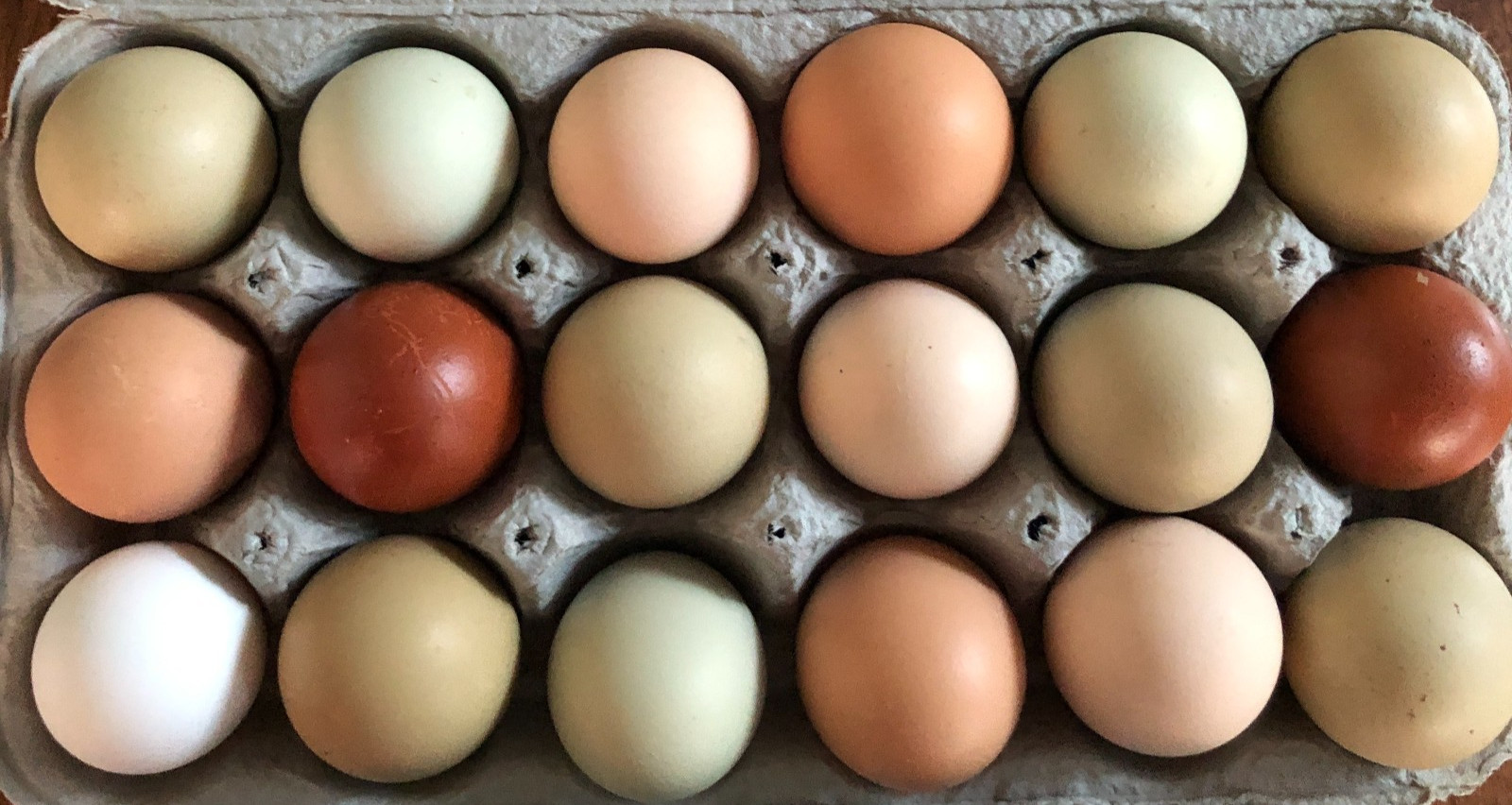 18 Fertile Chicken Hatching Eggs Barnyard Mix/Crested/Easter/Rare Breed Possible