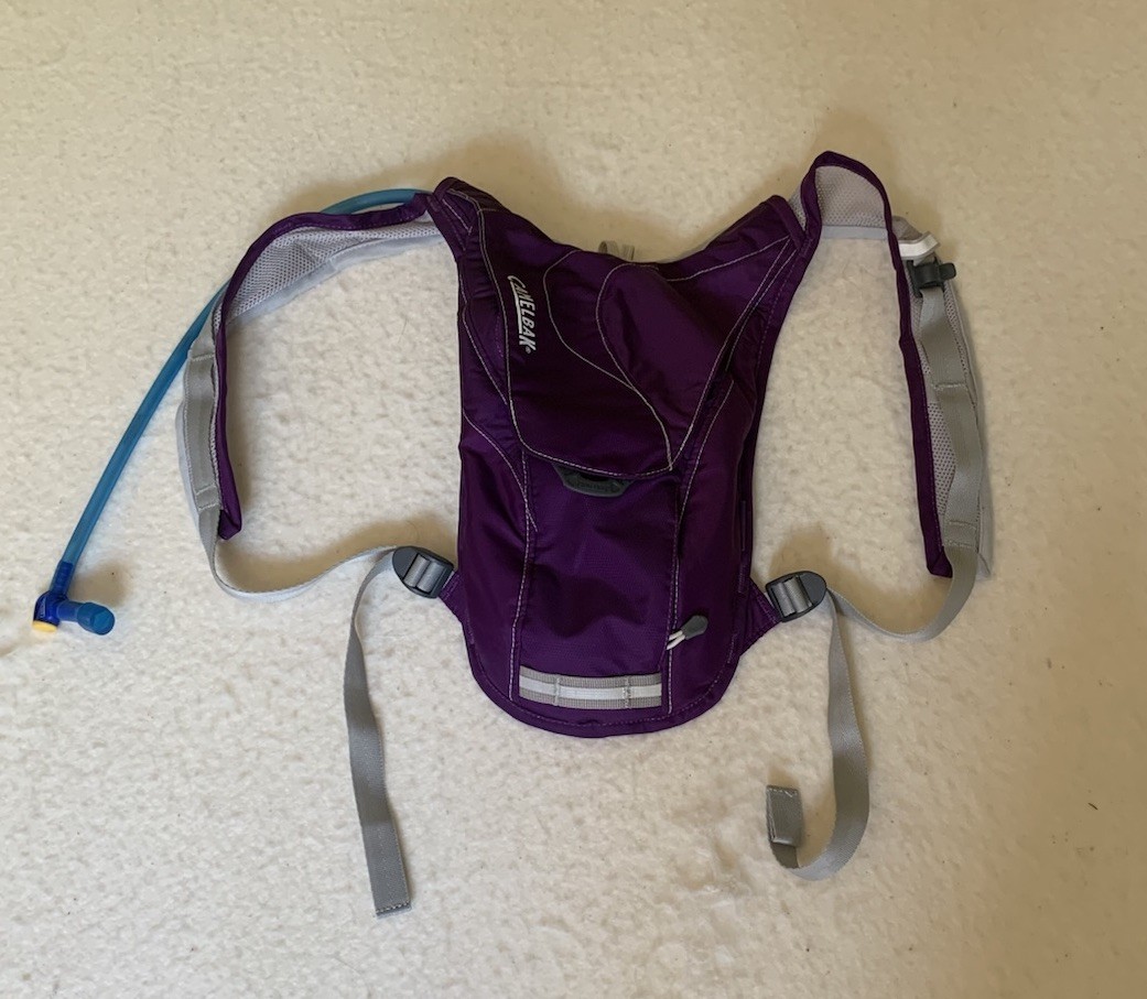 Camelback Charm Hydration Pack Purple
