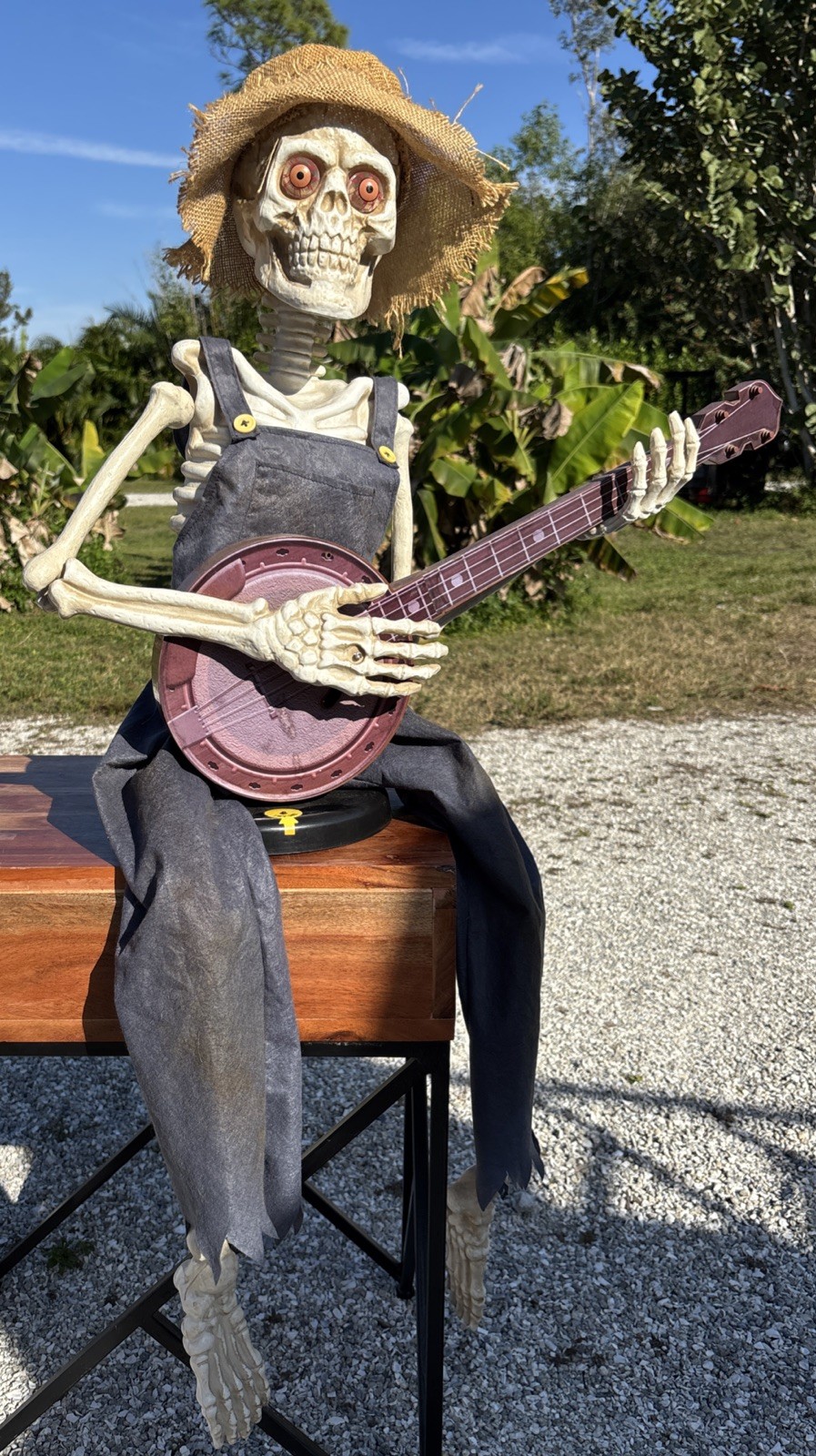 39" Animated Skeleton Playing Banjo Halloween Prop W/ Music~ Song