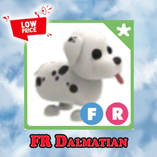 FR Dalmatian - Adopt right now