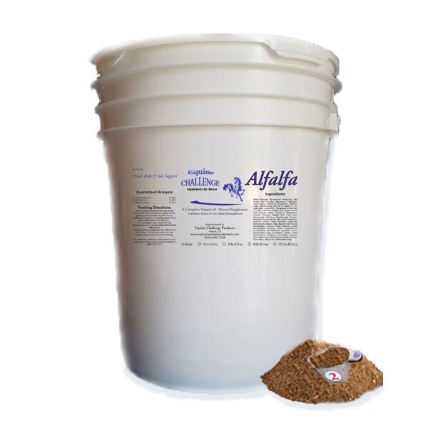 Vitamin, Mineral & Probiotic Horse Supplement Alfalfa Coat Digestion 12 lb Pouch