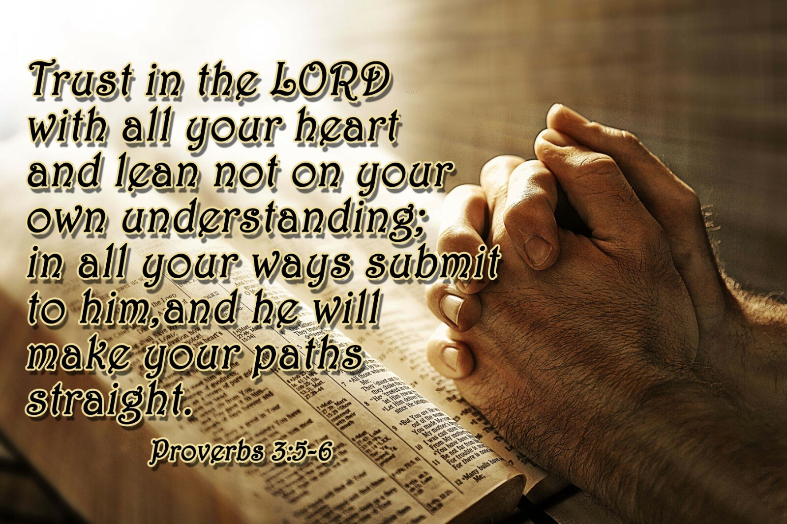 PROVERBS 3:5-6 BIBLE VERSE POSTER TRUST IN THE LORD WALL ART DECOR PRINT 12X18
