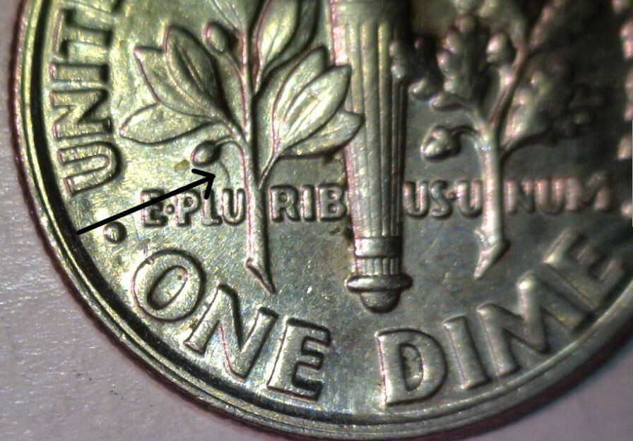 1996 P Roosevelt Dime with die clash on reverse circulated