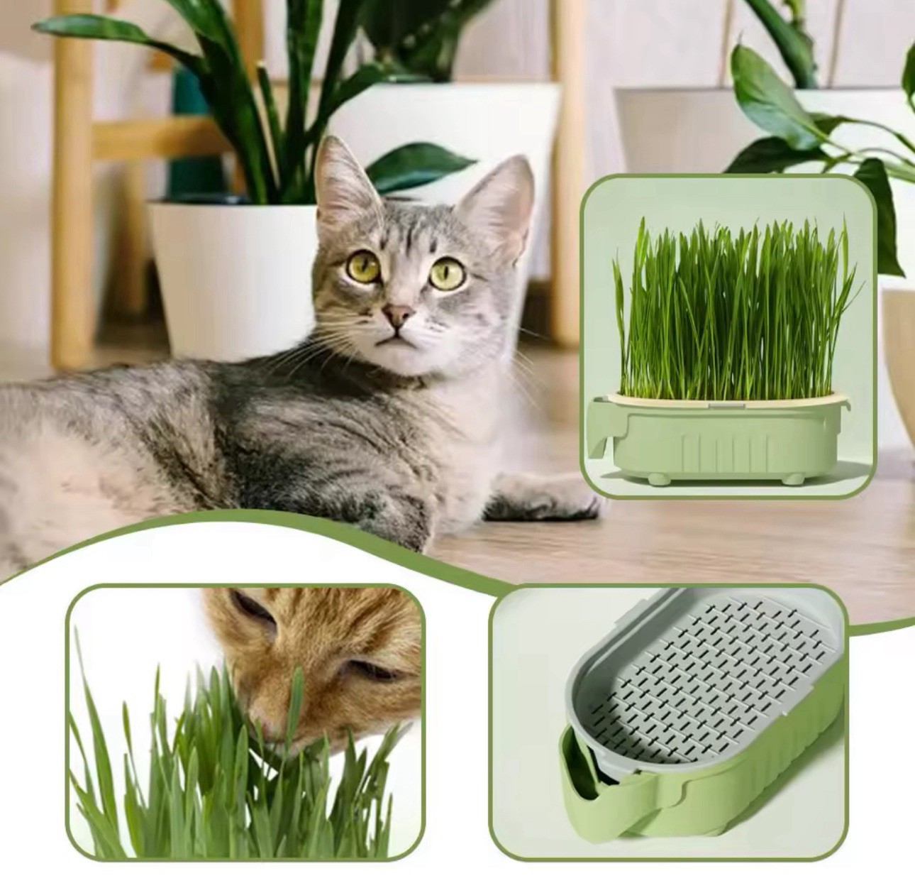 Cat Grass Planter Hydroponic Growing Tray Indoor Soilless Plant Box