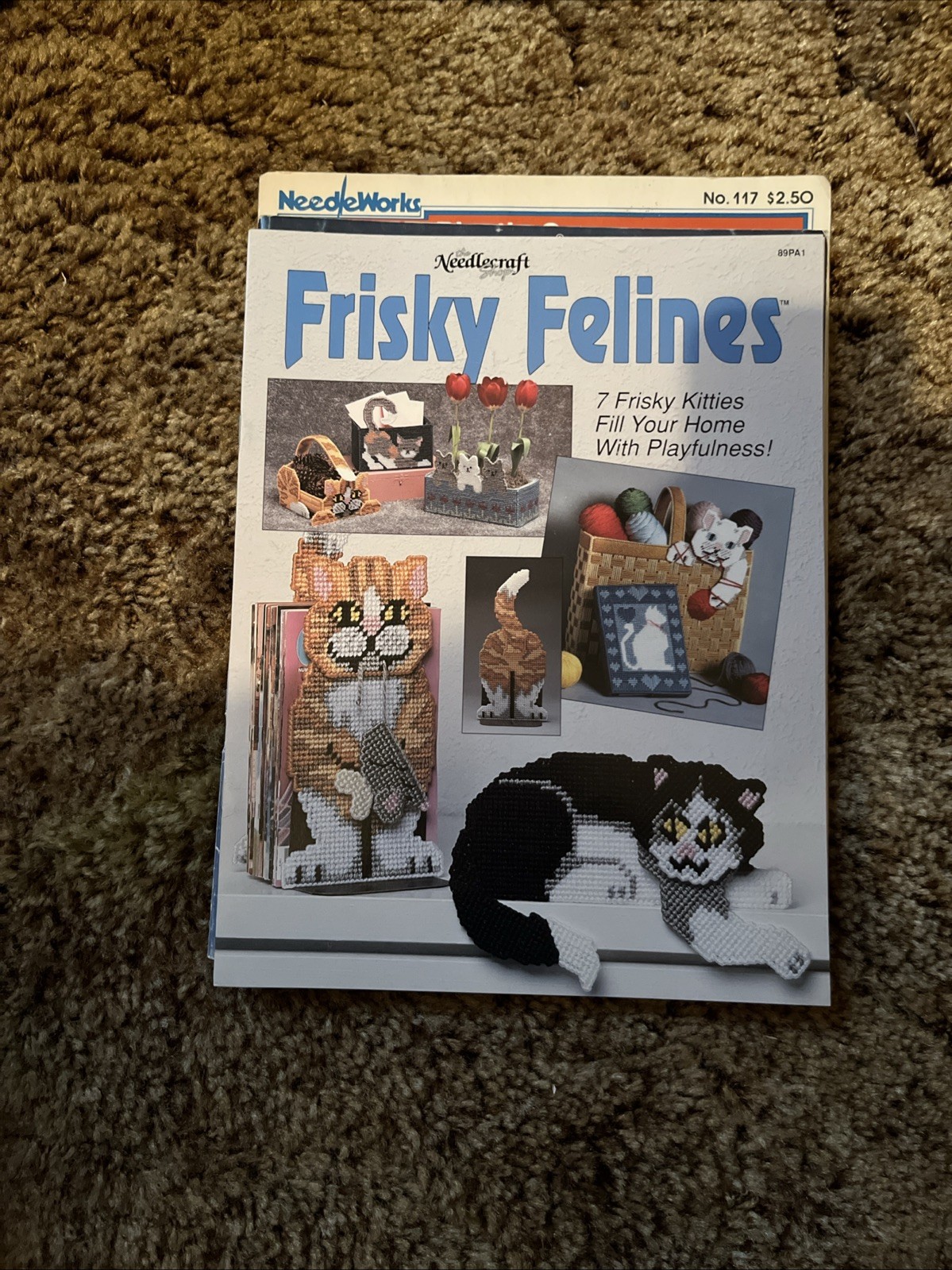 19 Plastic Canvas Pattern Books/ Great Condition/ See Pictures