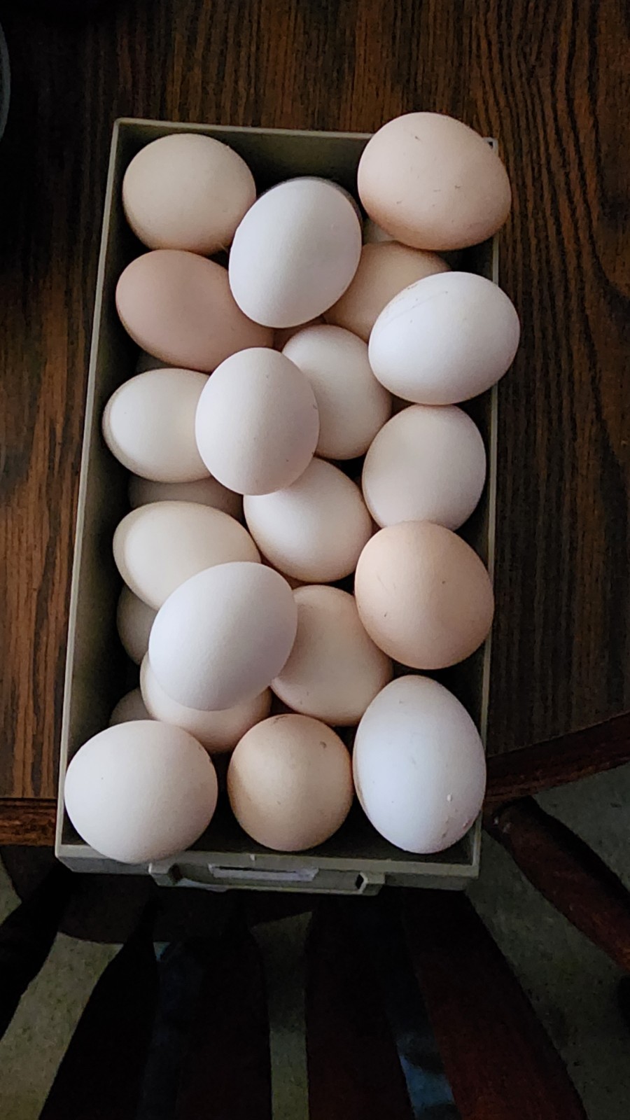 12+ Barnyard Mix Fresh Fertile Hatching Eggs FREE RANGE