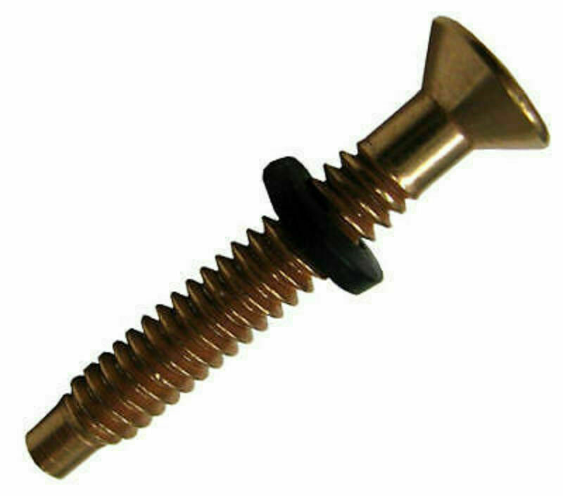 Pentair Pool Light Brass Pilot Screw 79104800  with Gum Washer 79104800Z