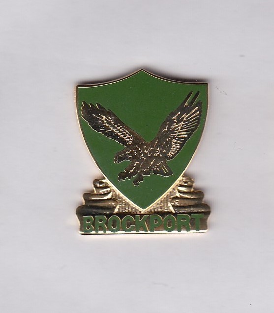 US Army ROTC State University of New York, Brockport crest DUI badge G-23