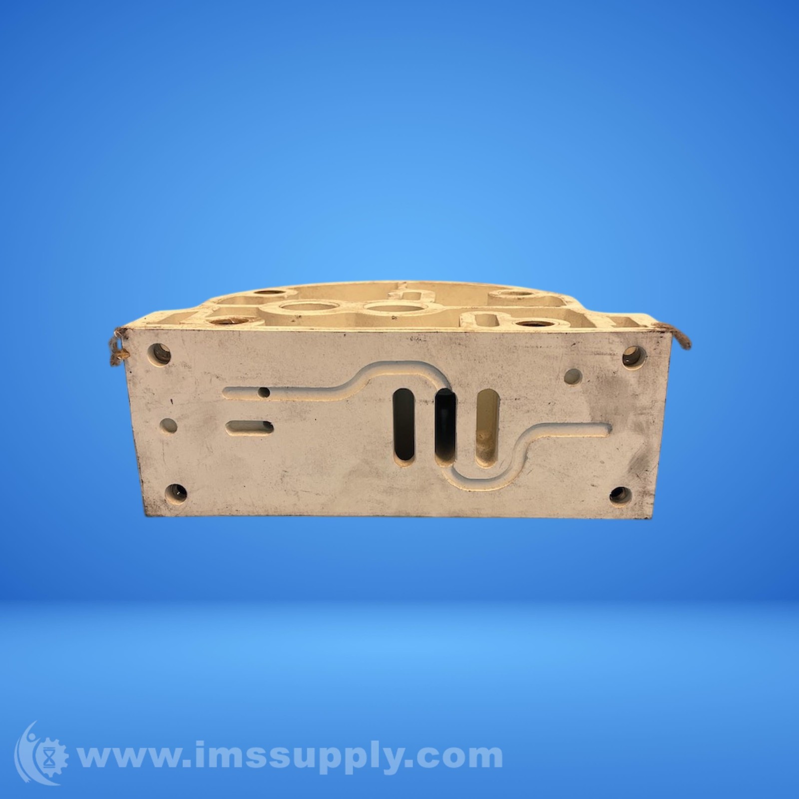 Wilden 04-3110-20 Pump Center Block USIP