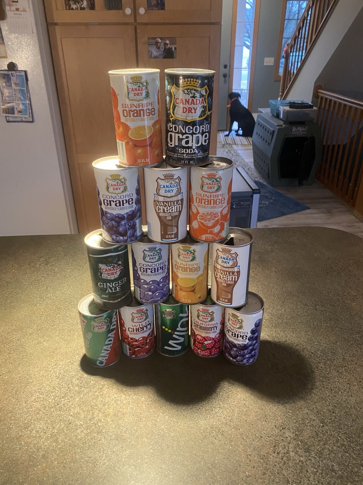 Canada Dry Soda 🥤 Cans. Lot of 14