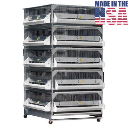 GQF 0540 Battery Brooder Deck Game Bird Poultry 5 Box Brooder Poultry