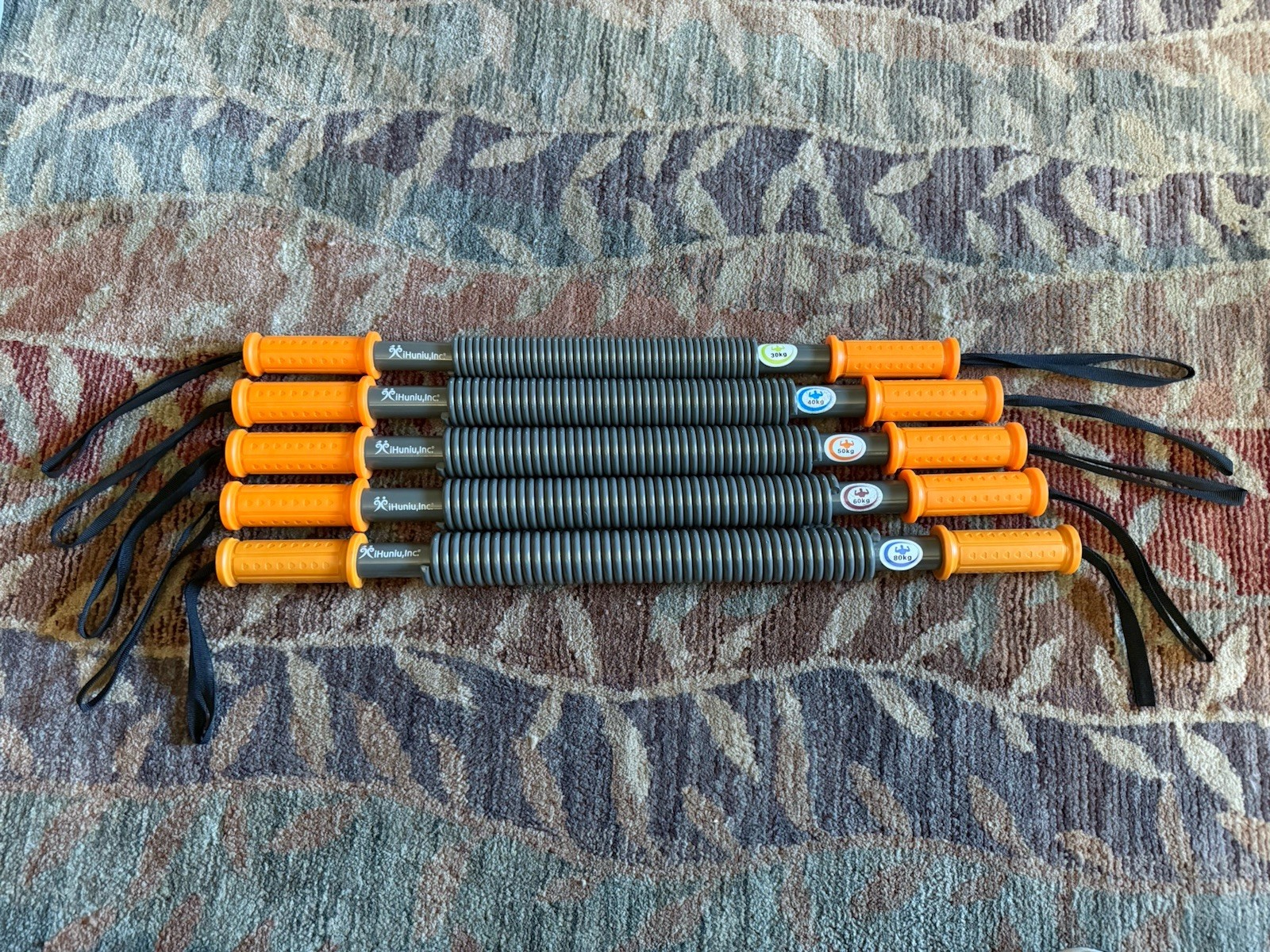 iHuniu Power Twister Bar Set of 5 30kg, 40kg, 50kg, 60kg, 80kg, Dual Springs