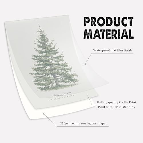 4Pcs Vintage Christmas Tree Wall Art, Artful 4 Pine Tree Botanical Prints,