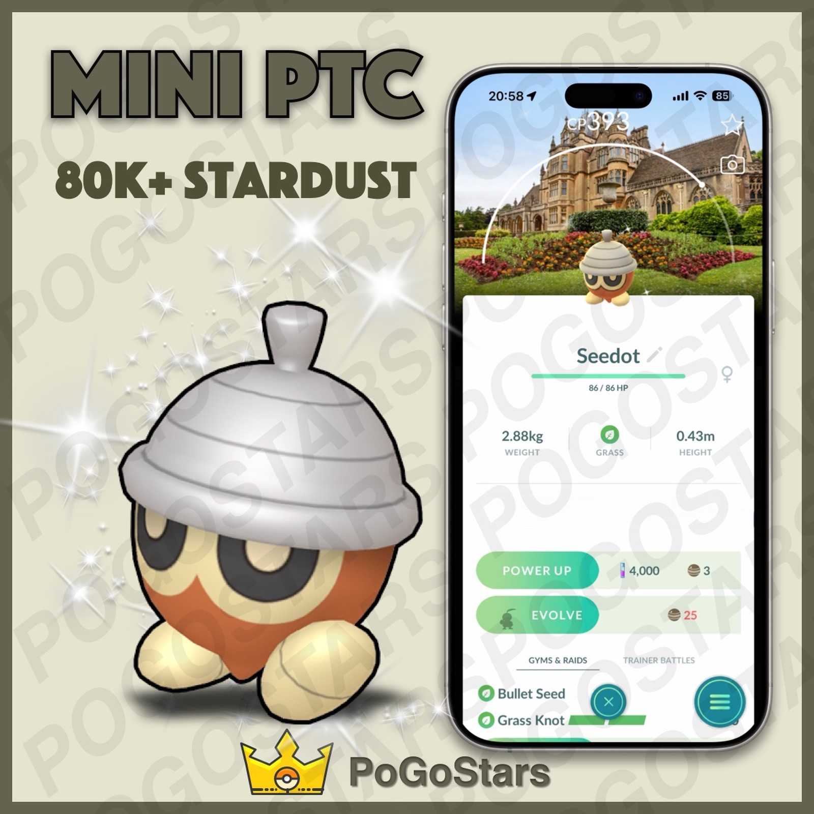 Pokémon PTC GO - Shiny Seedot - Tyntesfield✨National Trust Background✨
