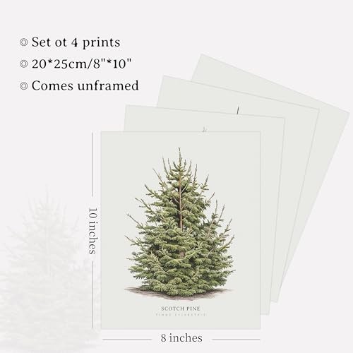 4Pcs Vintage Christmas Tree Wall Art, Artful 4 Pine Tree Botanical Prints,