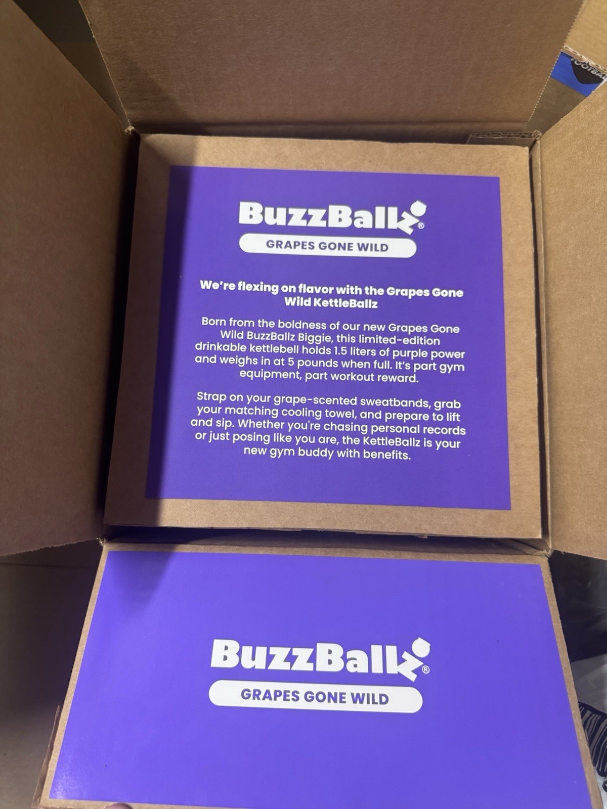 BuzzBallz KettleBallz Novelty Kettlebell Container Kit Empty Grape Promo