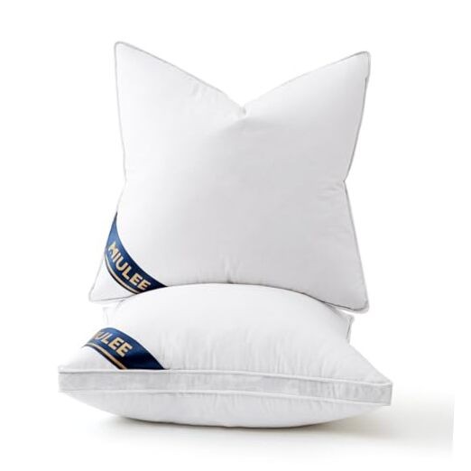 26x26 Feather Down Pillow Inserts with Gusset Bed 26x26 Inch (Pack of 2)