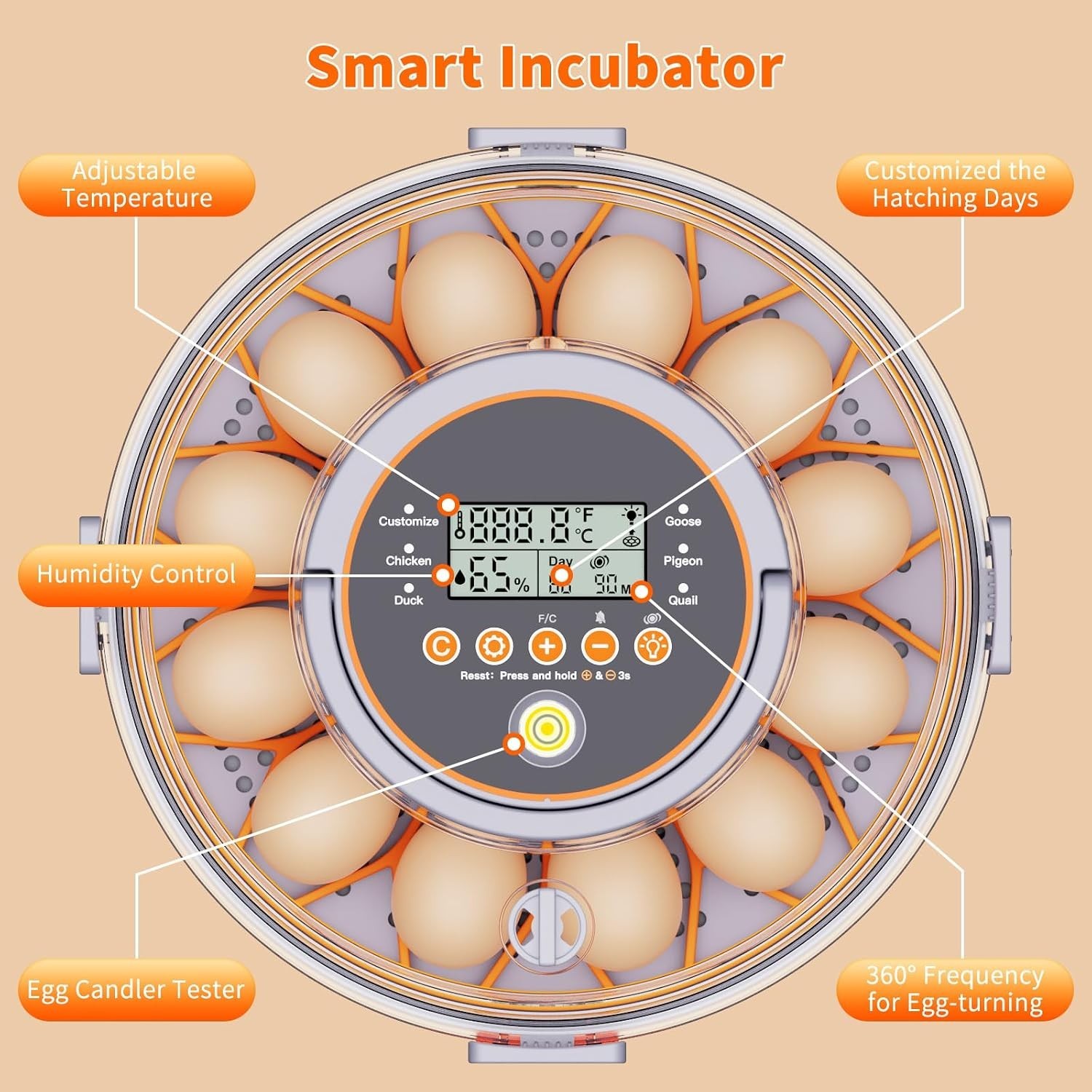 12 Egg Incubators for Hatching Eggs, Automatic Egg Turning & Humidity Control
