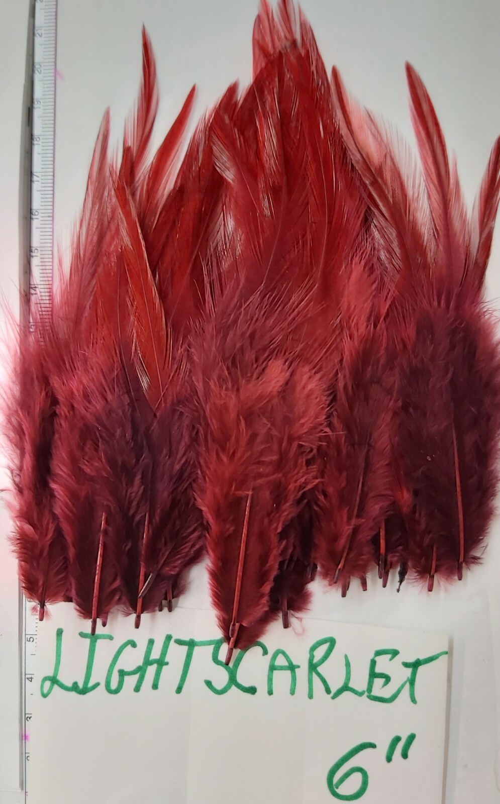 50 Feathers " SELECT SADDLES " Size 5" - 6" top Quality Color: LIGHT SCARLET